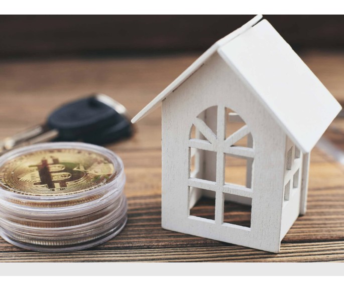 Logo for BitcoinImmo.fr